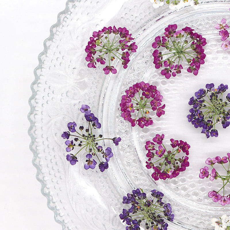 1.5-2.5cm/12pcs,Nature Pressed - Dried Flower Bookmark 评论和价格